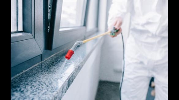 Eco-Friendly Pest Control Services