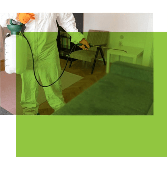Pest Control Brunswick