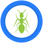 Ants Control Brunswick
