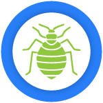 Bed Bug Control Brunswick