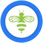 Bees & Wasp Control Brunswick