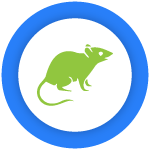 Rat & Mice Control Brunswick