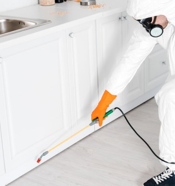 pest control brunswick