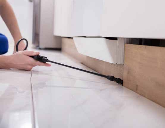 Eco-Friendly Pest Control Services