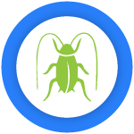 Cockroach Control Brunswick