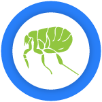 Flea Control Brunswick